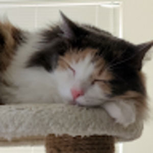 Meet your Posher, Cielo